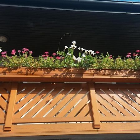 Apartmaji Valter Srpenica Dış mekan fotoğraf
